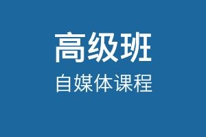 高级班自媒体课程